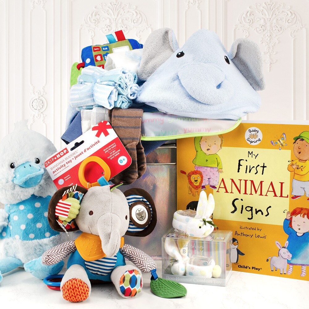 blue gift basket with Washcloths, book set, animal themed towel, Skip Hop Bandana and blankets